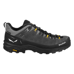 Topnky SALEWA Alp Trainer 2 GTX M onyx/black