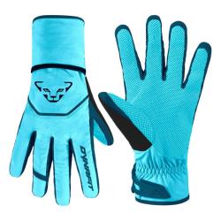 Rukavice DYNAFIT Mercury DST gloves silvretta