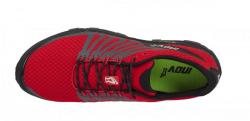 Topanka INOV 8 Roclite 290 3