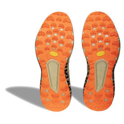 Topanky_Dynafit_Trail_Graphic_7961_overcast_7