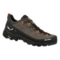 Topnky SALEWA Alp Trainer 2 GTX M bungee cord/black