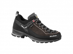 Topnky SALEWA WS MTN Trainer 2 GTX black/bungee cord