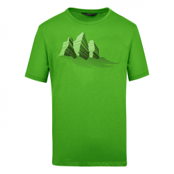 Tri�ko SALEWA Lines Graphic Dry M t-shirt pale fog